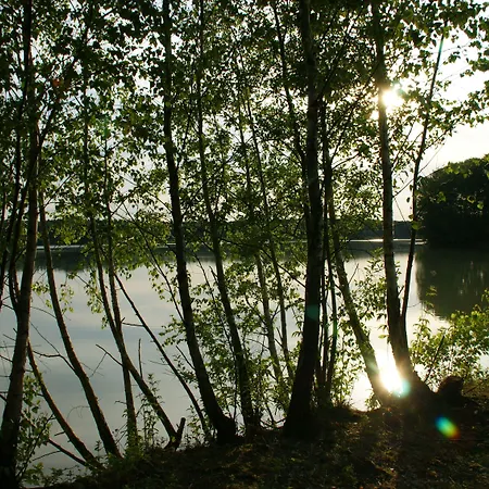 Waldhotel Zum Bergsee ダンメ